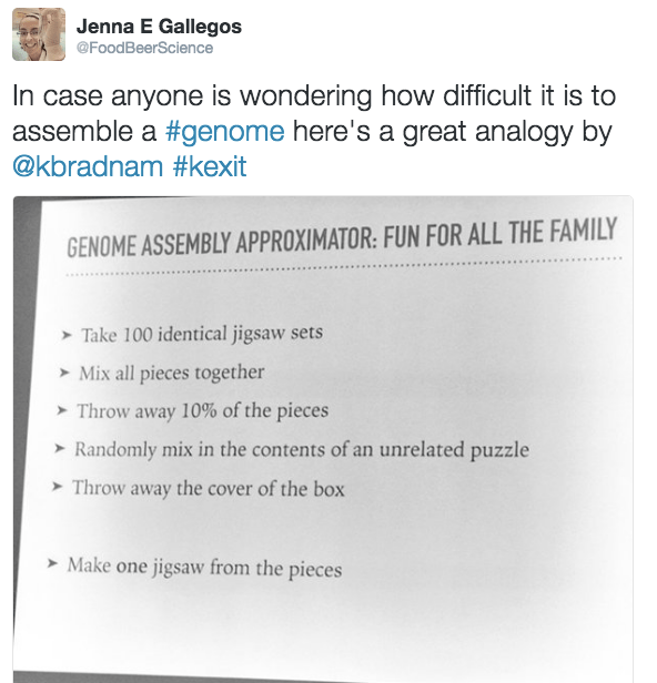 Screen Shot 2016-05-19 at 7.37.22 AM.png