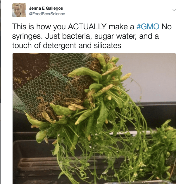 Screen Shot 2017-03-30 at 7.09.03 AM