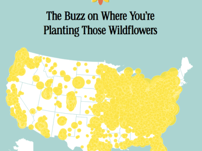 8 bee experts weigh in on pollinator decline & Cheerios’ bid to save&nbsp;them